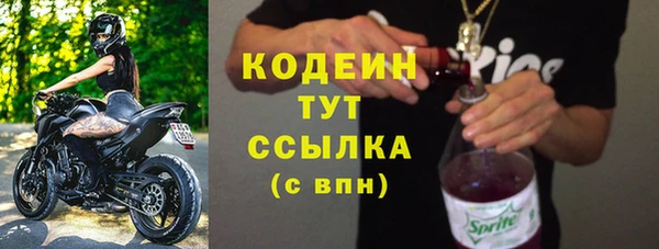 индика Баксан