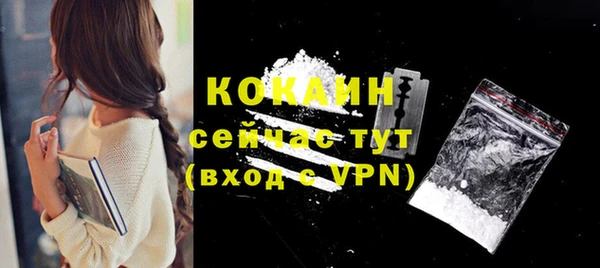 стаф Балахна