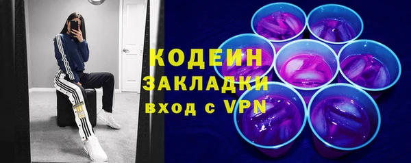 индика Баксан