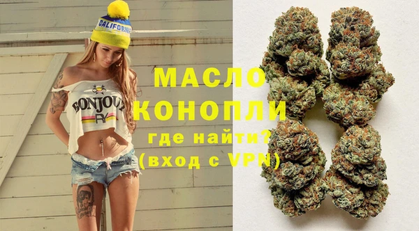 индика Баксан