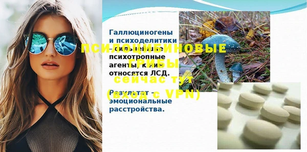 стаф Балахна