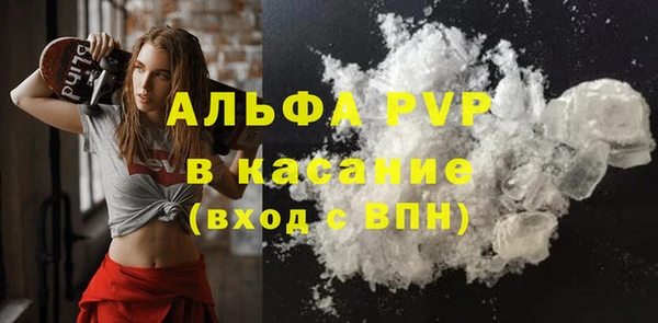 гидра Аркадак