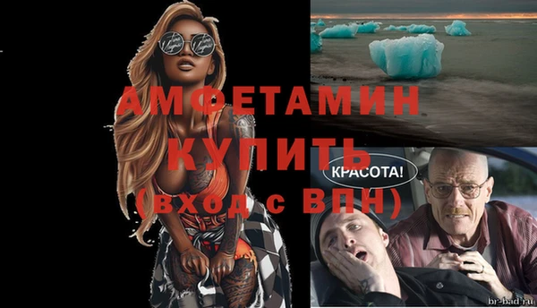 стаф Балахна