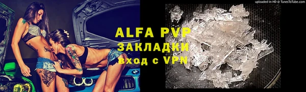 индика Баксан