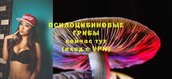 стаф Балахна