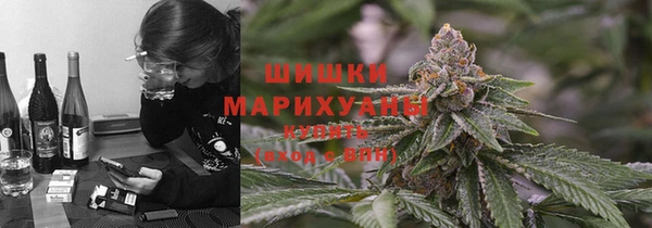 гидра Аркадак